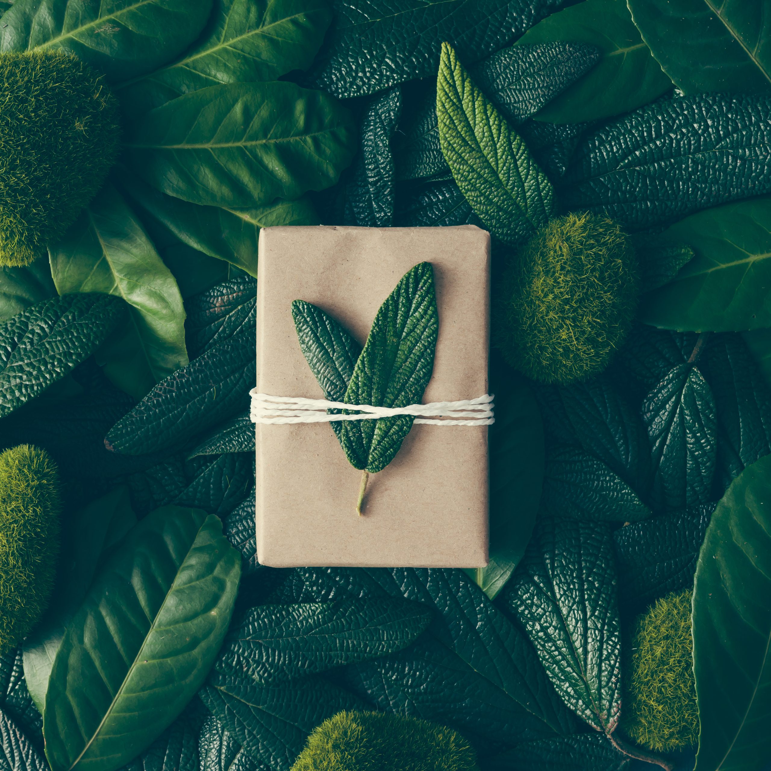 Creative layout made of green leaves with diy gift box. Flat lay