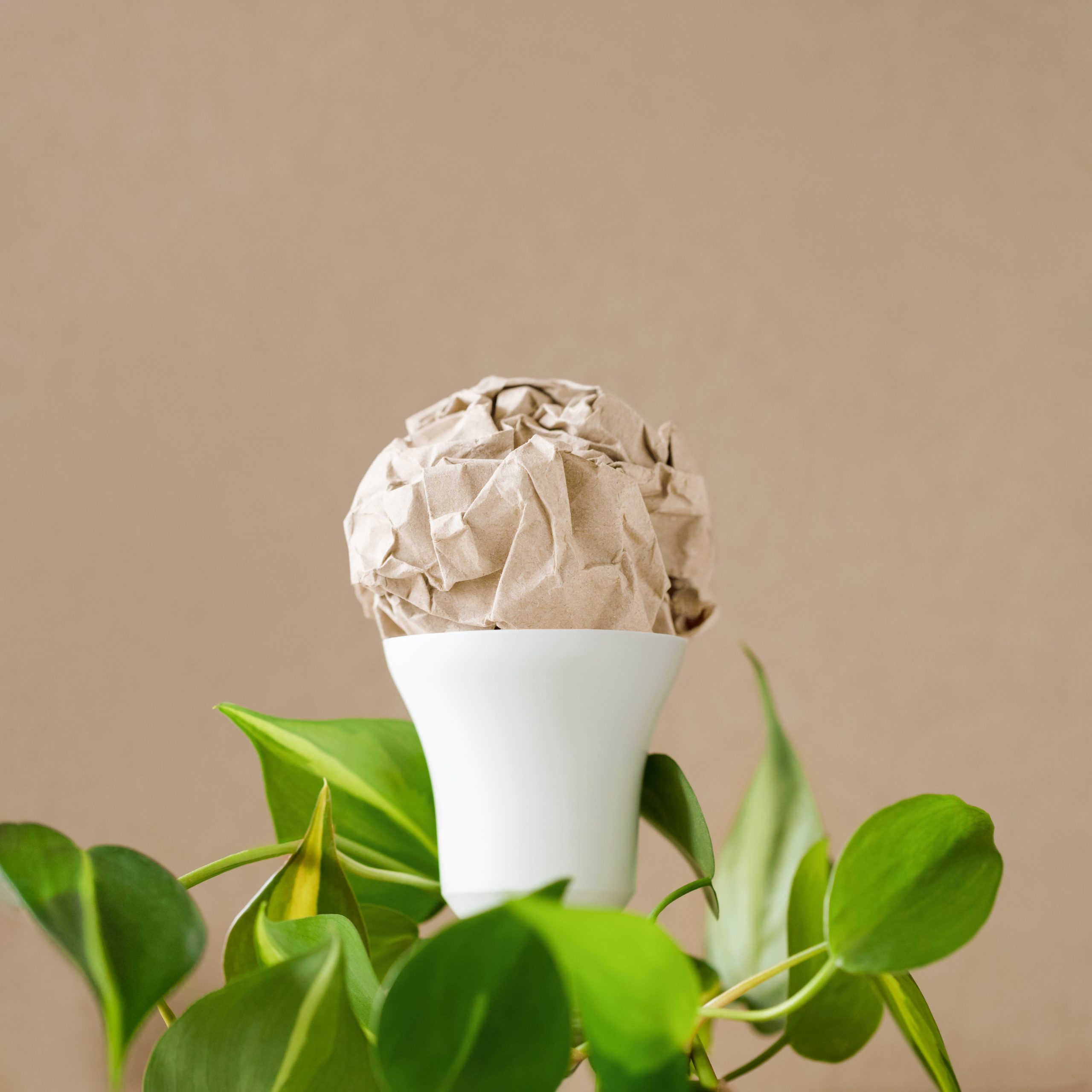 Creative lightbulb with green leaves on beige background.
